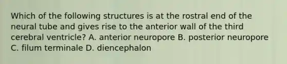 Which of the following structures is at the rostral end of the neural tube and gives rise to the anterior wall of the third cerebral ventricle? A. anterior neuropore B. posterior neuropore C. filum terminale D. diencephalon