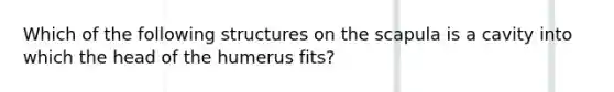 Which of the following structures on the scapula is a cavity into which the head of the humerus fits?