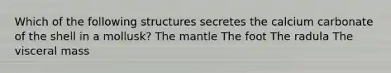 Which of the following structures secretes the calcium carbonate of the shell in a mollusk? The mantle The foot The radula The visceral mass