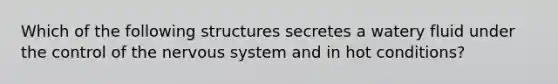 Which of the following structures secretes a watery fluid under the control of the nervous system and in hot conditions?