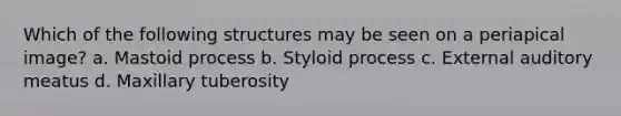 Which of the following structures may be seen on a periapical image? a. Mastoid process b. Styloid process c. External auditory meatus d. Maxillary tuberosity