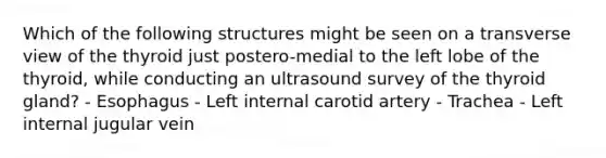 Which of the following structures might be seen on a transverse view of the thyroid just postero-medial to the left lobe of the thyroid, while conducting an ultrasound survey of the thyroid gland? - Esophagus - Left internal carotid artery - Trachea - Left internal jugular vein