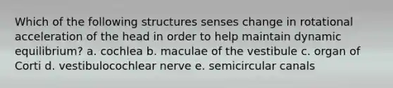 Which of the following structures senses change in rotational acceleration of the head in order to help maintain dynamic equilibrium? a. cochlea b. maculae of the vestibule c. organ of Corti d. vestibulocochlear nerve e. semicircular canals