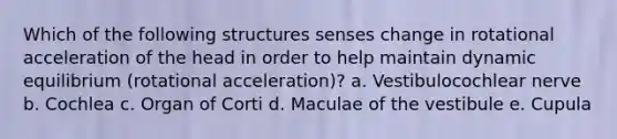 Which of the follo<a href='https://www.questionai.com/knowledge/k0difKoW8F-wing-structures' class='anchor-knowledge'>wing structures</a> senses change in rotational acceleration of the head in order to help maintain <a href='https://www.questionai.com/knowledge/kjoZGktvYI-dynamic-equilibrium' class='anchor-knowledge'>dynamic equilibrium</a> (rotational acceleration)? a. Vestibulocochlear nerve b. Cochlea c. Organ of Corti d. Maculae of the vestibule e. Cupula