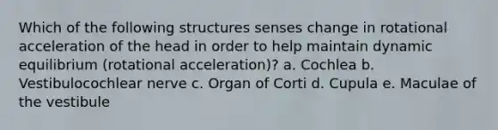 Which of the following structures senses change in rotational acceleration of the head in order to help maintain dynamic equilibrium (rotational acceleration)? a. Cochlea b. Vestibulocochlear nerve c. Organ of Corti d. Cupula e. Maculae of the vestibule