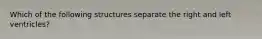 Which of the following structures separate the right and left ventricles?