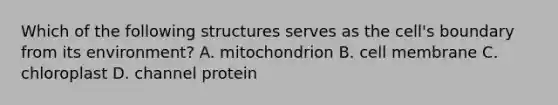 Which of the following structures serves as the cell's boundary from its environment? A. mitochondrion B. cell membrane C. chloroplast D. channel protein