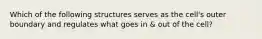 Which of the following structures serves as the cell's outer boundary and regulates what goes in & out of the cell?