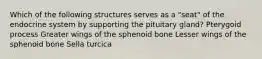 Which of the following structures serves as a "seat" of the endocrine system by supporting the pituitary gland? Pterygoid process Greater wings of the sphenoid bone Lesser wings of the sphenoid bone Sella turcica