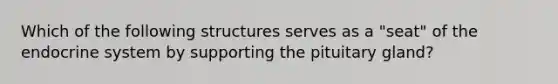 Which of the following structures serves as a "seat" of the endocrine system by supporting the pituitary gland?