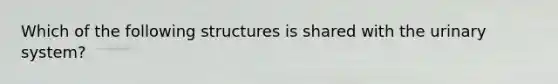 Which of the following structures is shared with the urinary system?