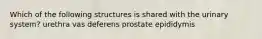 Which of the following structures is shared with the urinary system? urethra vas deferens prostate epididymis