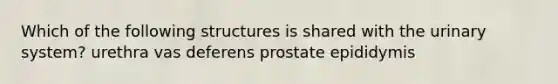 Which of the following structures is shared with the urinary system? urethra vas deferens prostate epididymis