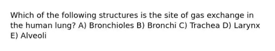 Which of the following structures is the site of gas exchange in the human lung? A) Bronchioles B) Bronchi C) Trachea D) Larynx E) Alveoli