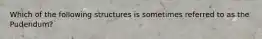 Which of the following structures is sometimes referred to as the Pudendum?