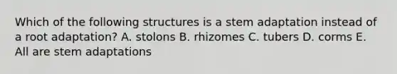 Which of the following structures is a stem adaptation instead of a root adaptation? A. stolons B. rhizomes C. tubers D. corms E. All are stem adaptations