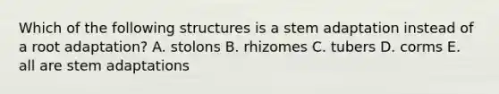 Which of the following structures is a stem adaptation instead of a root adaptation? A. stolons B. rhizomes C. tubers D. corms E. all are stem adaptations