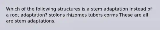 Which of the following structures is a stem adaptation instead of a root adaptation? stolons rhizomes tubers corms These are all are stem adaptations.