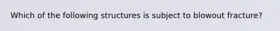 Which of the following structures is subject to blowout fracture?