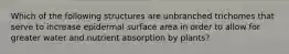 Which of the following structures are unbranched trichomes that serve to increase epidermal surface area in order to allow for greater water and nutrient absorption by plants?