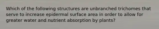 Which of the following structures are unbranched trichomes that serve to increase epidermal surface area in order to allow for greater water and nutrient absorption by plants?