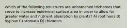 Which of the following structures are unbranched trichomes that serve to increase epidermal surface area in order to allow for greater water and nutrient absorption by plants? A) root hairs B) hyphae C) stomata D) rhizomes