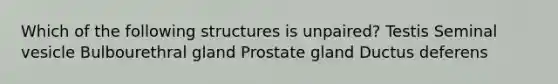 Which of the following structures is unpaired? Testis Seminal vesicle Bulbourethral gland Prostate gland Ductus deferens