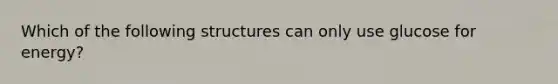 Which of the following structures can only use glucose for energy?