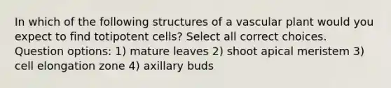 In which of the following structures of a vascular plant would you expect to find totipotent cells? Select all correct choices. Question options: 1) mature leaves 2) shoot apical meristem 3) cell elongation zone 4) axillary buds