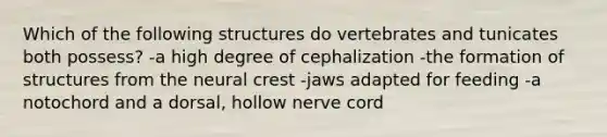 Which of the following structures do vertebrates and tunicates both possess? -a high degree of cephalization -the formation of structures from the neural crest -jaws adapted for feeding -a notochord and a dorsal, hollow nerve cord