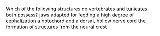 Which of the following structures do vertebrates and tunicates both possess? jaws adapted for feeding a high degree of cephalization a notochord and a dorsal, hollow nerve cord the formation of structures from the neural crest