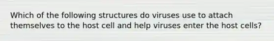 Which of the following structures do viruses use to attach themselves to the host cell and help viruses enter the host cells?