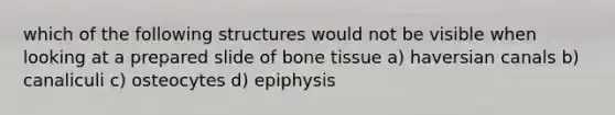 which of the following structures would not be visible when looking at a prepared slide of bone tissue a) haversian canals b) canaliculi c) osteocytes d) epiphysis