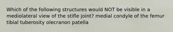 Which of the following structures would NOT be visible in a mediolateral view of the stifle joint? medial condyle of the femur tibial tuberosity olecranon patella