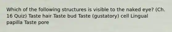 Which of the following structures is visible to the naked eye? (Ch. 16 Quiz) Taste hair Taste bud Taste (gustatory) cell Lingual papilla Taste pore