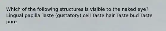 Which of the following structures is visible to the naked eye? Lingual papilla Taste (gustatory) cell Taste hair Taste bud Taste pore