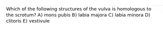 Which of the following structures of the vulva is homologous to the scrotum? A) mons pubis B) labia majora C) labia minora D) clitoris E) vestivule