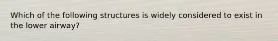 Which of the following structures is widely considered to exist in the lower airway?