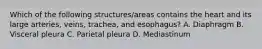 Which of the following structures/areas contains the heart and its large arteries, veins, trachea, and esophagus? A. Diaphragm B. Visceral pleura C. Parietal pleura D. Mediastinum