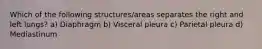Which of the following structures/areas separates the right and left lungs? a) Diaphragm b) Visceral pleura c) Parietal pleura d) Mediastinum