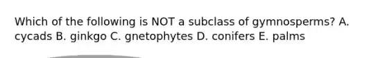 Which of the following is NOT a subclass of gymnosperms? A. cycads B. ginkgo C. gnetophytes D. conifers E. palms