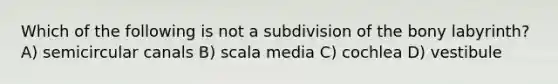 Which of the following is not a subdivision of the bony labyrinth? A) semicircular canals B) scala media C) cochlea D) vestibule