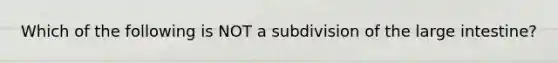 Which of the following is NOT a subdivision of the <a href='https://www.questionai.com/knowledge/kGQjby07OK-large-intestine' class='anchor-knowledge'>large intestine</a>?