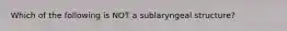 Which of the following is NOT a sublaryngeal structure?