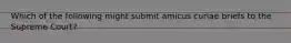 Which of the following might submit amicus curiae briefs to the Supreme Court?