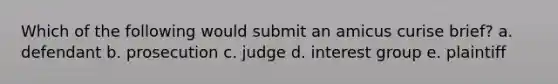 Which of the following would submit an amicus curise brief? a. defendant b. prosecution c. judge d. interest group e. plaintiff