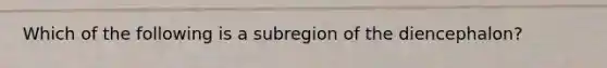 Which of the following is a subregion of the diencephalon?