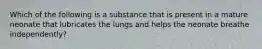 Which of the following is a substance that is present in a mature neonate that lubricates the lungs and helps the neonate breathe independently?