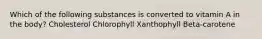 Which of the following substances is converted to vitamin A in the body? Cholesterol Chlorophyll Xanthophyll Beta-carotene