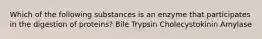 Which of the following substances is an enzyme that participates in the digestion of proteins? Bile Trypsin Cholecystokinin Amylase